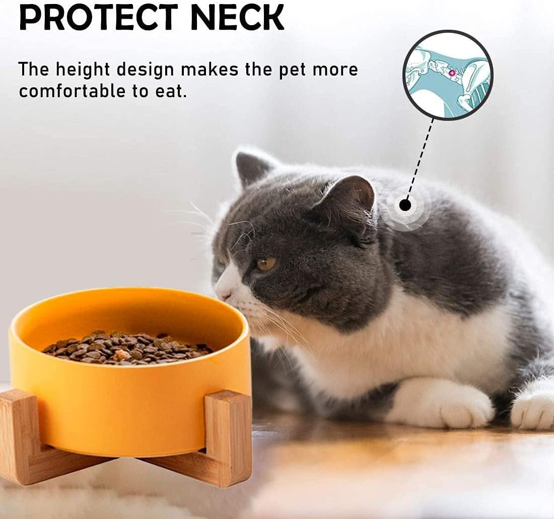 Small Ceramic Raised Cat Bowls, Tilted Elevated Food or Water Bowls, Stress Free, Backflow Prevention, Dishwasher and Microwave Safe, Lead & Cadmium Free