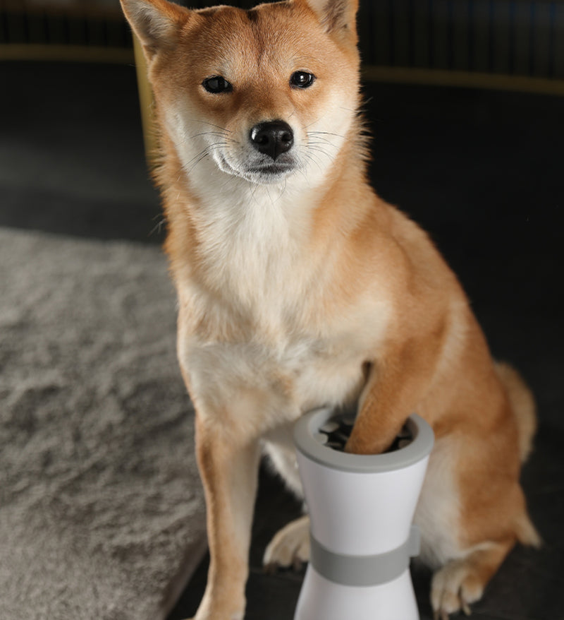 Electric Foot Washing Cups for Pets