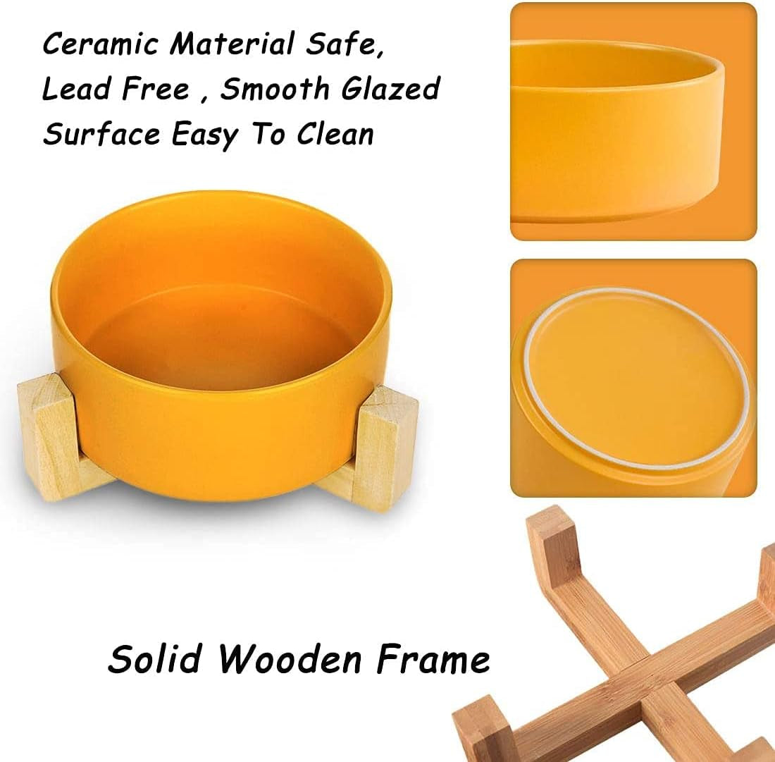 Small Ceramic Raised Cat Bowls, Tilted Elevated Food or Water Bowls, Stress Free, Backflow Prevention, Dishwasher and Microwave Safe, Lead & Cadmium Free