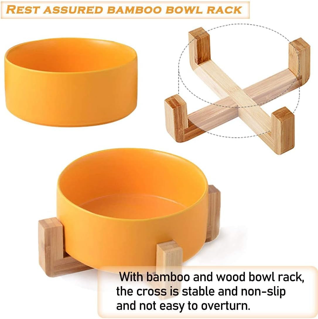 Small Ceramic Raised Cat Bowls, Tilted Elevated Food or Water Bowls, Stress Free, Backflow Prevention, Dishwasher and Microwave Safe, Lead & Cadmium Free