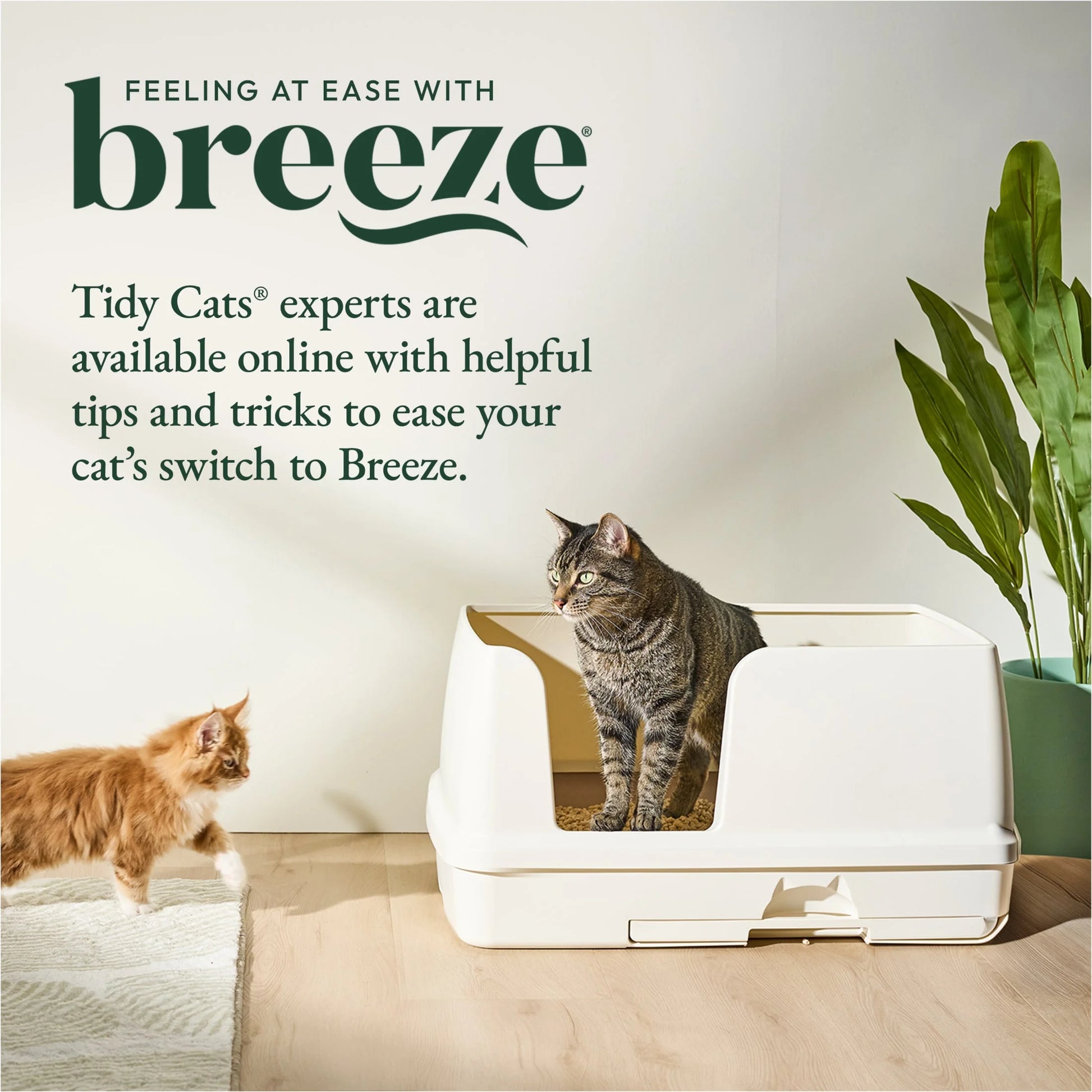 Purina  Breeze Bigger Cat Litter Box System Kit with Pellet Cat Litter, XL Litter Box and Litter Box Pads