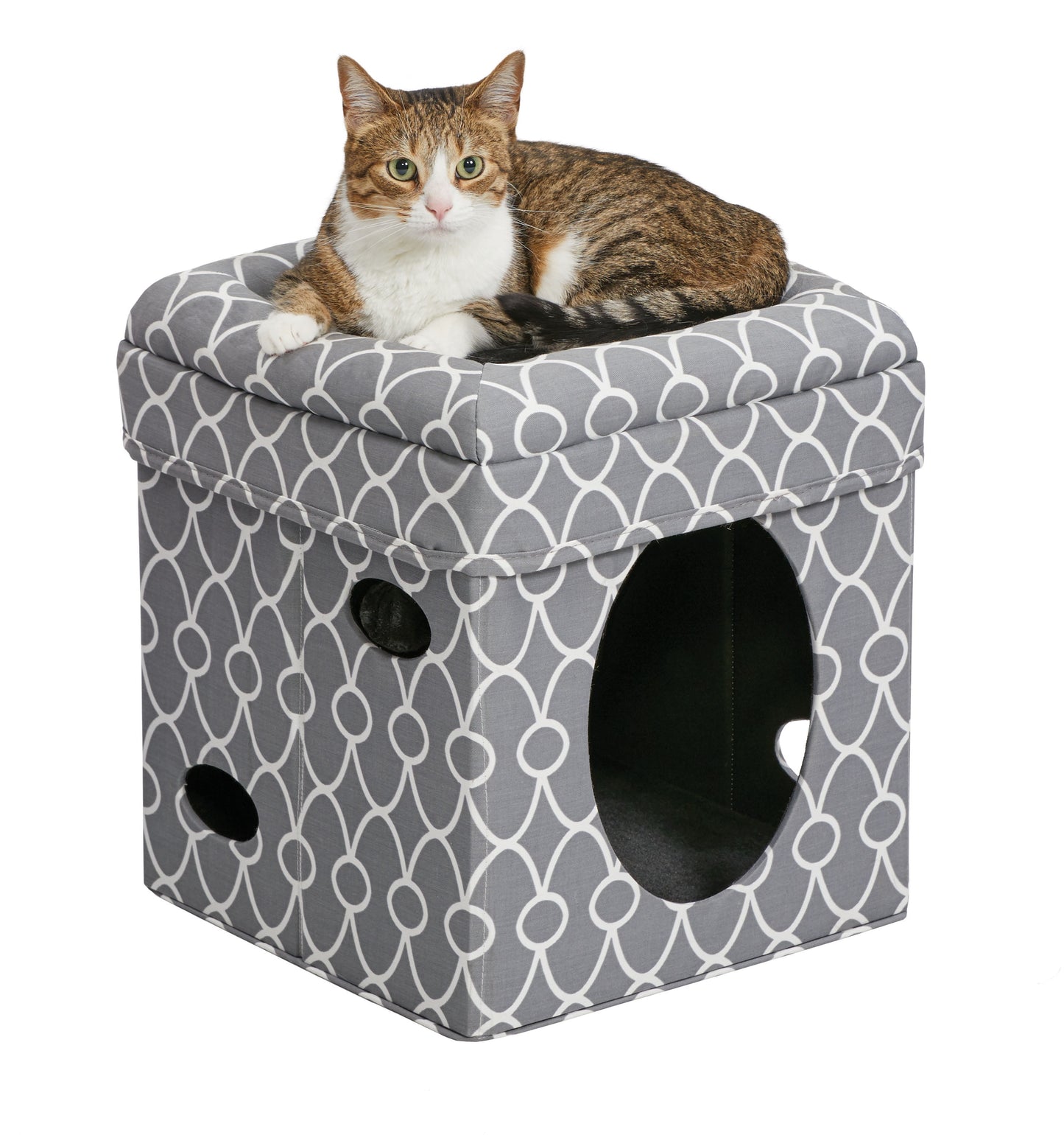 Midwest Homes for Pets Curious Cat Cube, Foldable Cat Cube for Home or Traveling Play, Gray