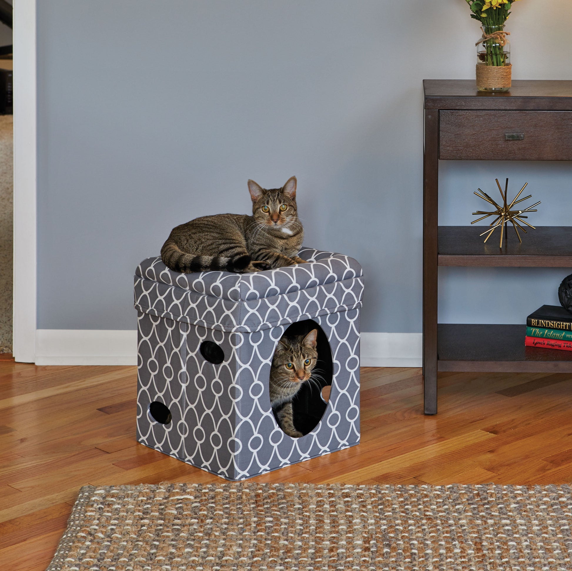 Midwest Homes for Pets Curious Cat Cube, Foldable Cat Cube for Home or Traveling Play, Gray