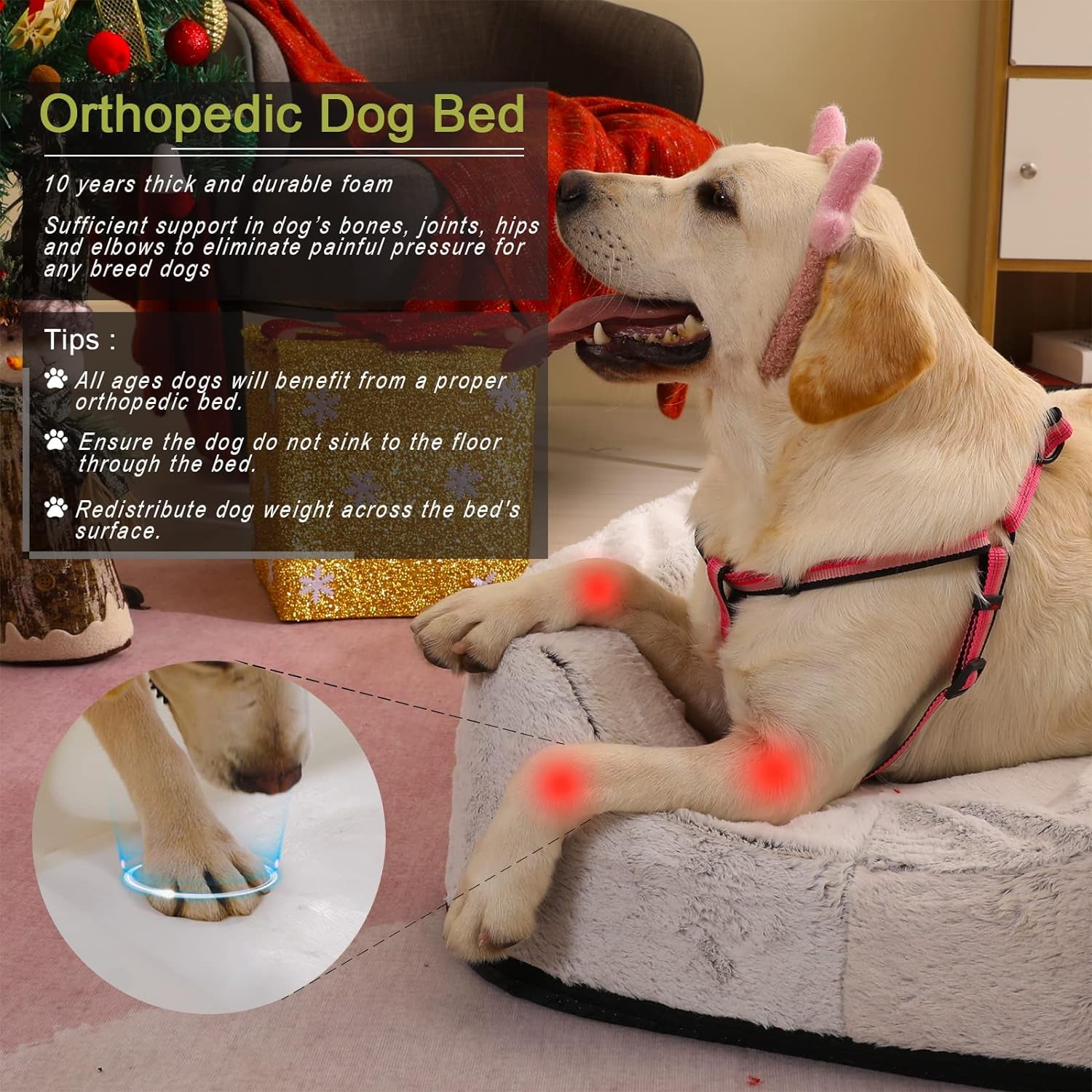 Pawmmy Size Adjustable Dog Bed, Orthopedic Dog Bed with Certipur-Us Foam, Waterproof Dog Bed with Removable Cover, Thick Dog Couch with 3 Side Bolsters for Jumbo Dog, Medium Dog and Large Dog