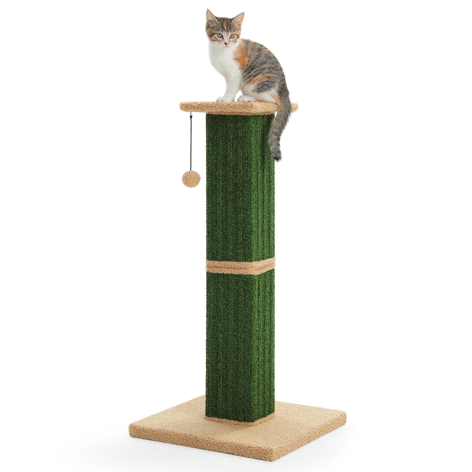 32" Tall Cat Scratching Post for Indoor Cats - Durable Cat Scratcher with Wide Base, Green