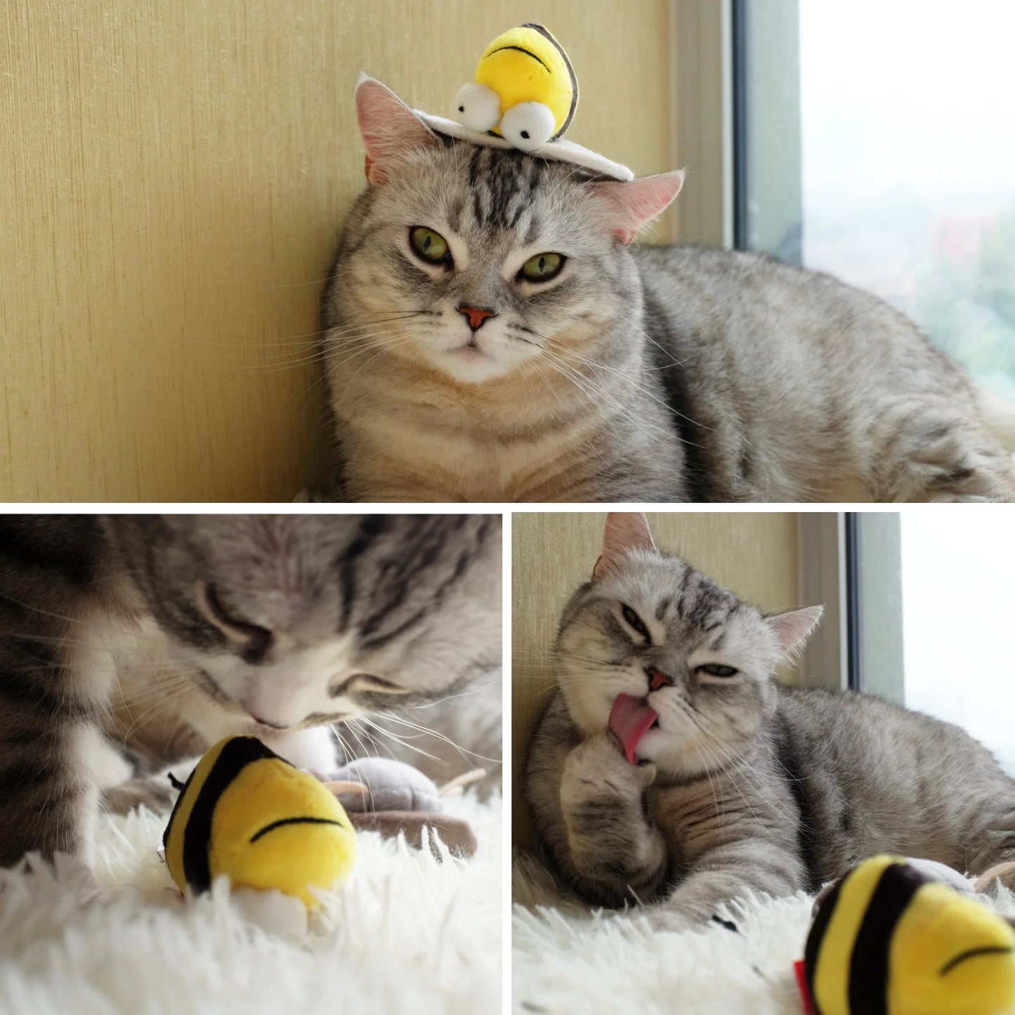 Gigwi Interactive Cat Toys Animal Sound Bird/Mouse/Bee Interactive Squeaking Cat Toys Melody Chaser & Toys for Cats to Play Alone, Play and Squeak Kitten Toys for Boredom